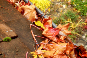 leaves clogging gutter system on residential home